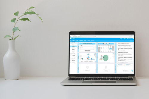 免費裝修管理軟件靠譜嗎？——兼談軟件外包服務的優勢與選擇